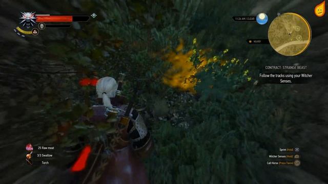 The Witcher 3: Contract: Strange Beast - Quest Walkthrough смотреть онлайн