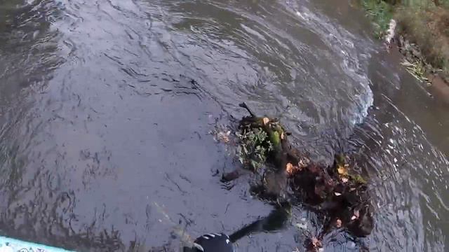 Три удота на одной сестре смотреть онлайн