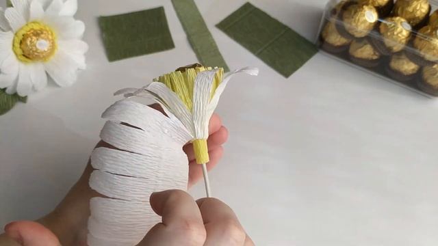 Взяли конфеты Ferrero Rocher, креповую бумаги и сделали ШИКАРНЫЕ ромашки своими руками. смотреть онлайн