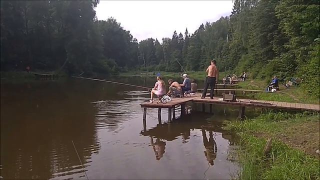 Поимки карпа на поплавочную снасть. Клёвое место, Лосиный остров, верхний водоём. смотреть онлайн