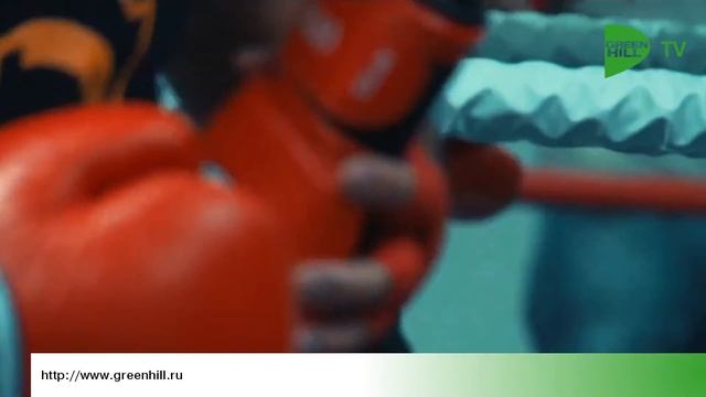 Особенности работы с представительствами Green Hill смотреть онлайн