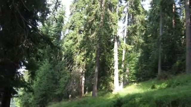 Bulgarian Mountains смотреть онлайн