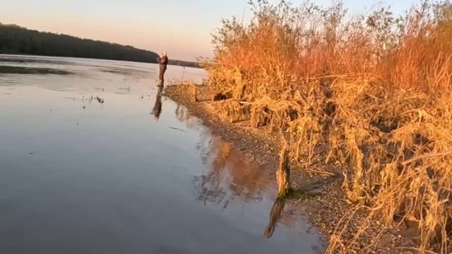 РИБОЛОВ НА РАСПЕР НА РЕКА ДУНАВ. КАК СЕ БИЯТ ЗА МЯСТО? смотреть онлайн