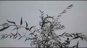 Ива плакучая формирование