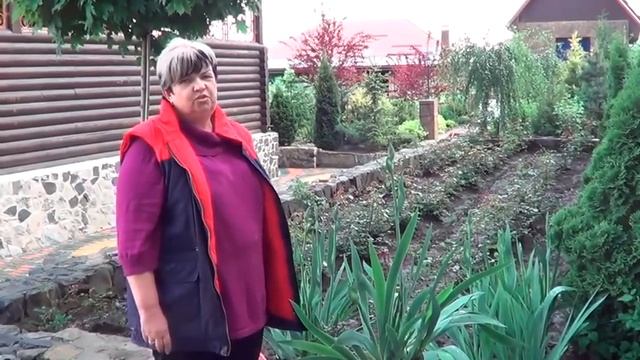 Ирис.( Ирисы Бородатые) . Как Правильно Поделить Куст Ириса. Правила Размножения Ирисов смотреть онлайн