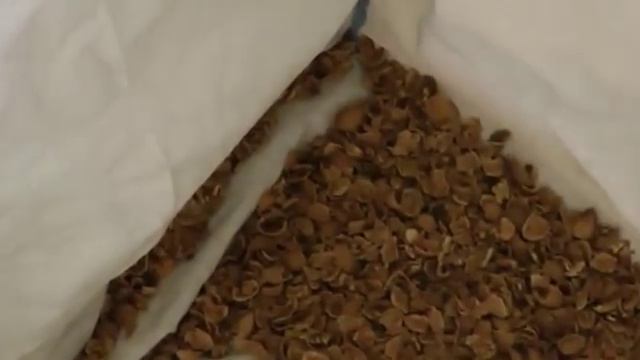 Линия для переработки грецкого ореха.Продажа оборудования. смотреть онлайн