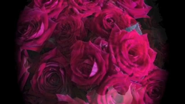 Осенний цветник. Букет из 101 розы 7-го октября на день рождения моей мамы. Flowers. смотреть онлайн