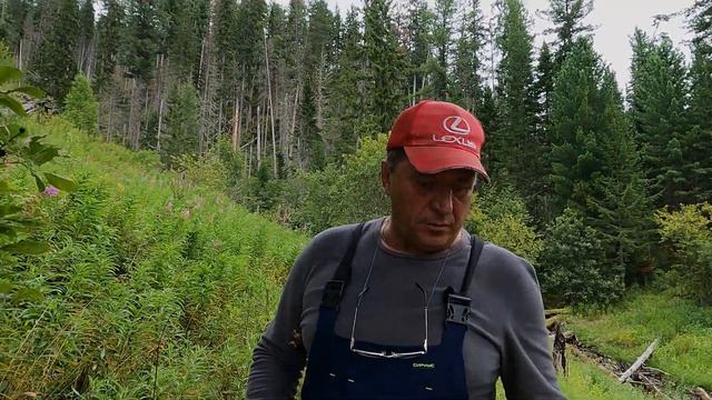 Красноярское водохранилище рыбалка и отдых смотреть онлайн