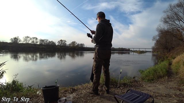 ФИДЕР на реке. Октябрь 2019. Рыбалка на фидер. смотреть онлайн