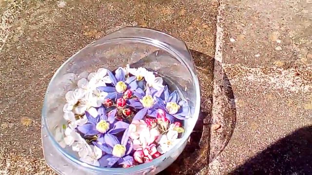 Witchcraft DIY Flower Essences смотреть онлайн