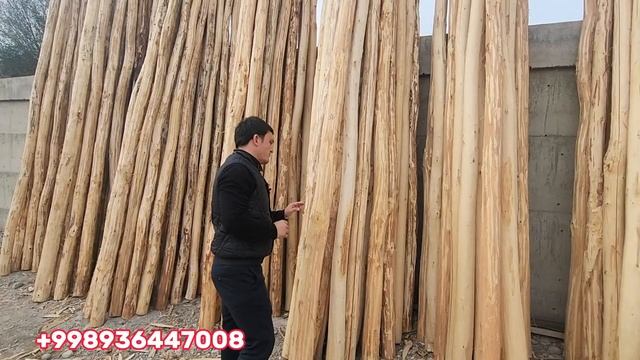 UY QURULISH MATRIYALARI OPTIM NARXDA?АРЗОН НАРХДА ТОМ ЁПМОКЧМСИЗ +998936447008 смотреть онлайн