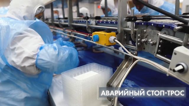 Двухъярусный конвейер фасовки продукции в лотки. Производство конвейерных систем OKZO SYSTEMS смотреть онлайн
