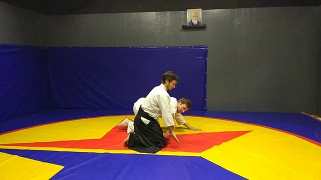 Aikido Iwama ryu. Nykkyo omote/ura смотреть онлайн