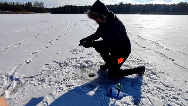 ОСКОЛ Зимняя рыбалка на водохранилище смотреть онлайн