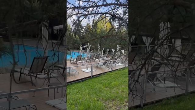 Клевые Басики в соснах свежего ветра! А в Подмосковье водятся…..))) смотреть онлайн