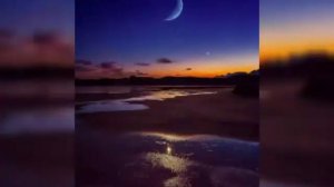 Песня леди баг и супер кот ~Что-же ты делаешь папа~