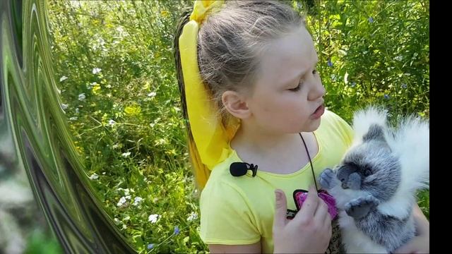 Алёна и коала Коля. Знакомство с коалой Колей. Обучающее видео для детей о коалах. смотреть онлайн