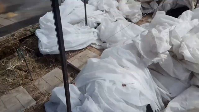 Шпалера для винограда в парник своими руками смотреть онлайн