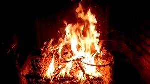 Сборник историй на ночь 2023 года | Черный Рик