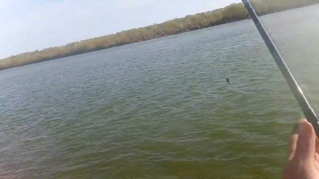 Рыбалка при восточном ветре! На что способны бобры? Донской фазан! Против стихии не попрешь! смотреть онлайн