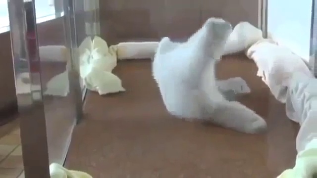 Не может встать бедолага смотреть онлайн