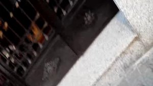 Как заменить зеркало заднего вида
