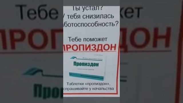 Хомяк работа Тамань! смотреть онлайн
