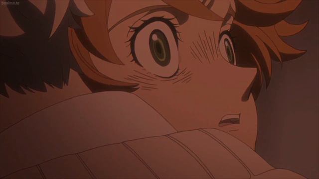 My Head & My Heart ♫︎AMV♪ The Promised Neverland
