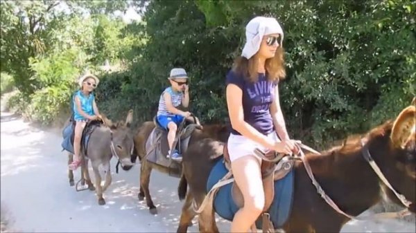 ослиная ферма чудо ослик село Залесное Крым прогулка на осликах к подножию Мангуп горный крым