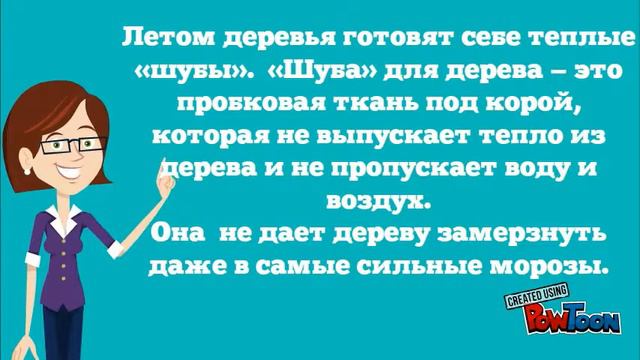 Как деревья живут зимой смотреть онлайн