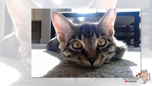 Дежавю смотреть онлайн