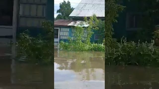 последствия наводнения г Спасск -Дальний приморского края. 12.08.23 смотреть онлайн