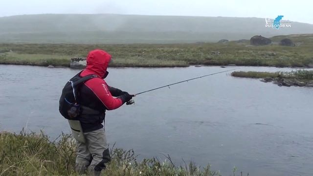 Ловля кумжи на вертушки Bretton смотреть онлайн