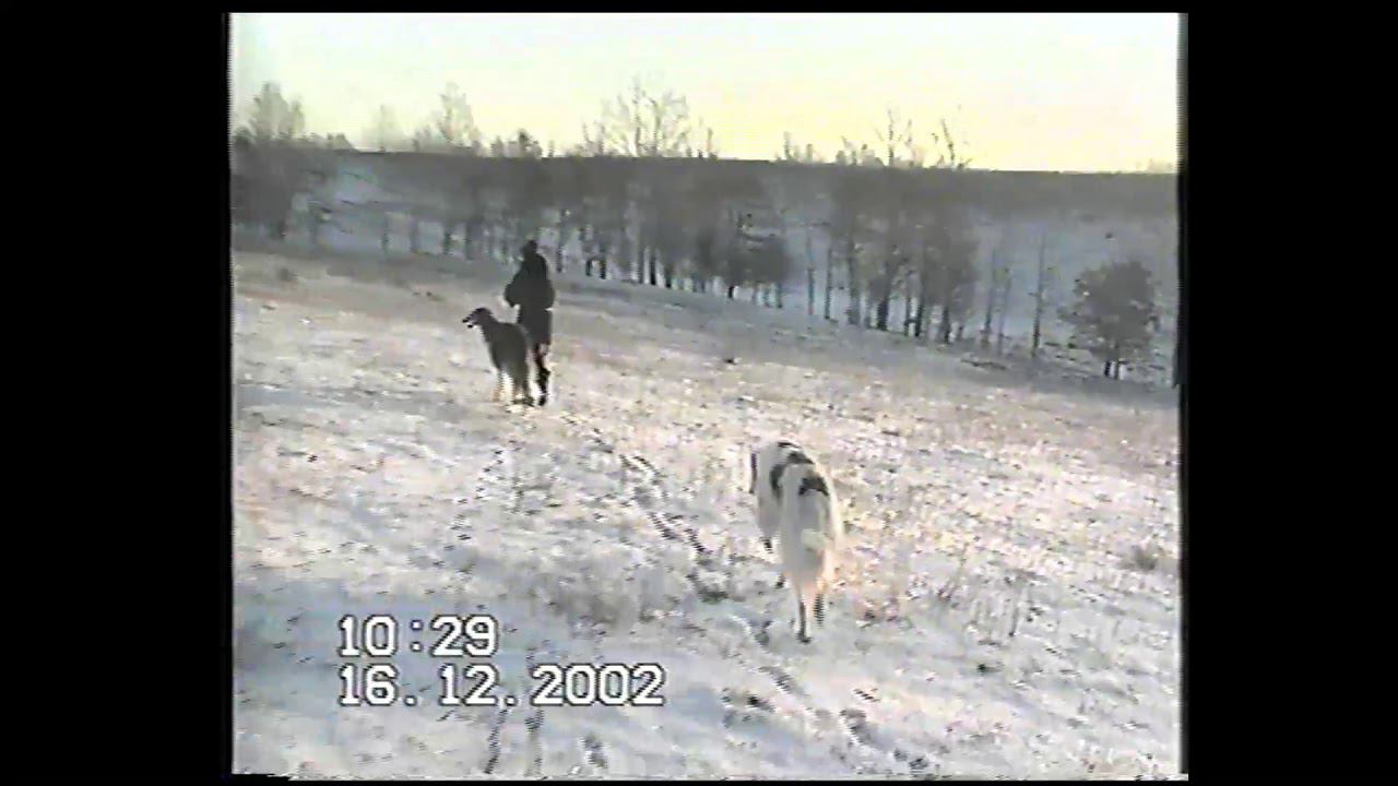 Охота в Курской области 16 декабря 2002 года смотреть онлайн