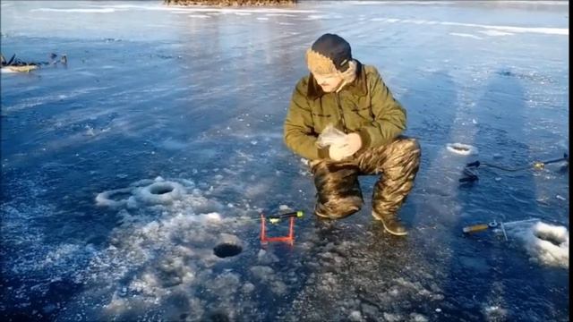 Шатура Рыбалка 08122020