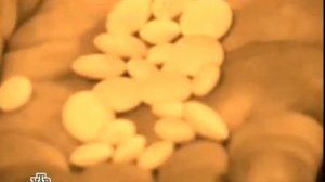 Кремлёвские похороны. Леонид Брежнев