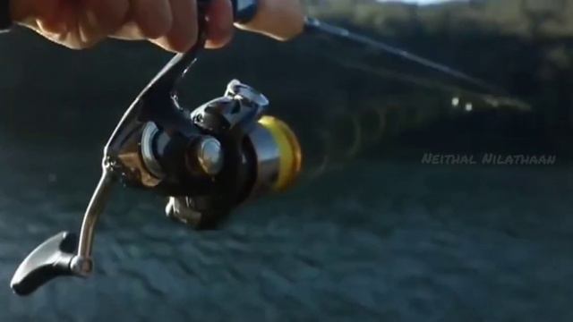 Shimano Sedona Special Review