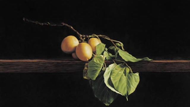 A. Vivaldi: Schwerin Concerto For Violoncello, Strings & B.c. In D Major (RV 404)