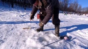 КРУПНАЯ ФОРЕЛЬ НА ТОЛСТОГО ЧЕРВЯ(СТРЕЙЧ)