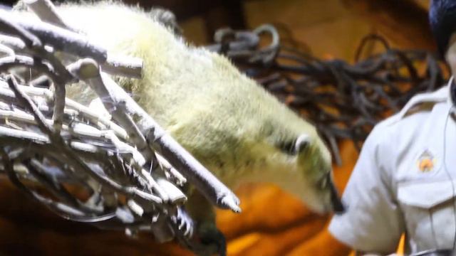 경주 주렁주렁 나들이, 웃음이 주렁주렁 🤣 смотреть онлайн