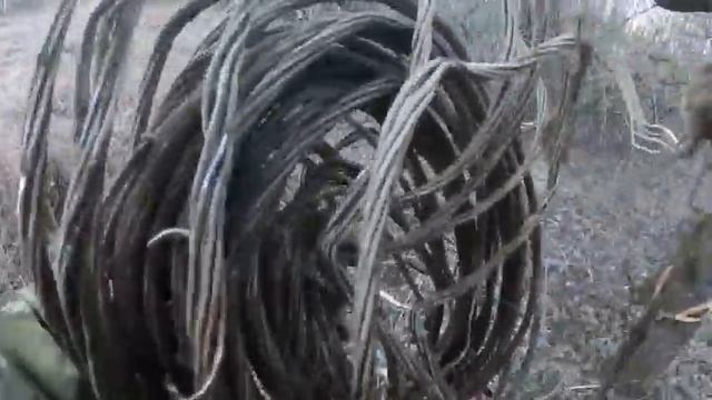 ЖУРАВЛИ НАПУГАЛИ МЕНЯ В ЛЕСУ.МАЛА МЕТАЛЛА ,много грязи. смотреть онлайн