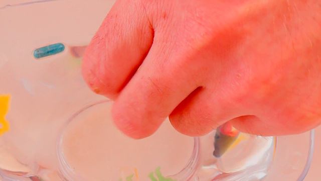 Давид и папа выращивают животных в воде и учат названия животных (0+) Обучающее видео про ЖИВОТНЫХ смотреть онлайн