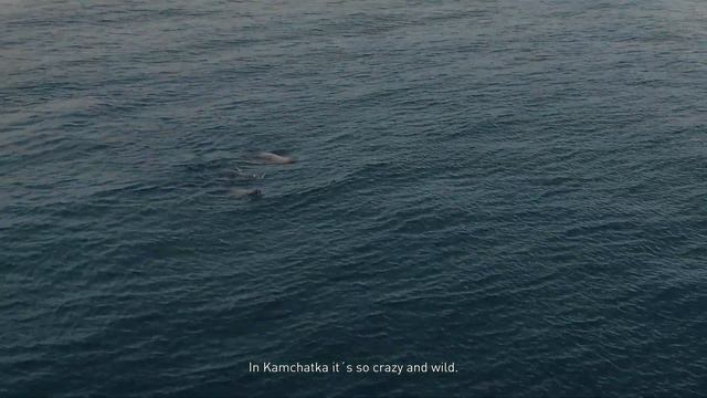 Морская мечта