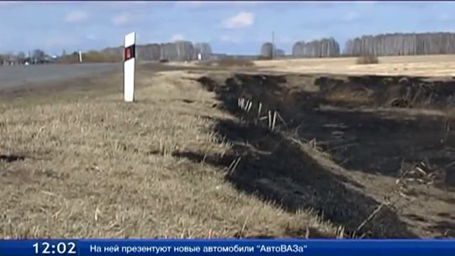 В Тюменской области проложили минерализованных полос на 325 км больше, чем планировалось смотреть онлайн