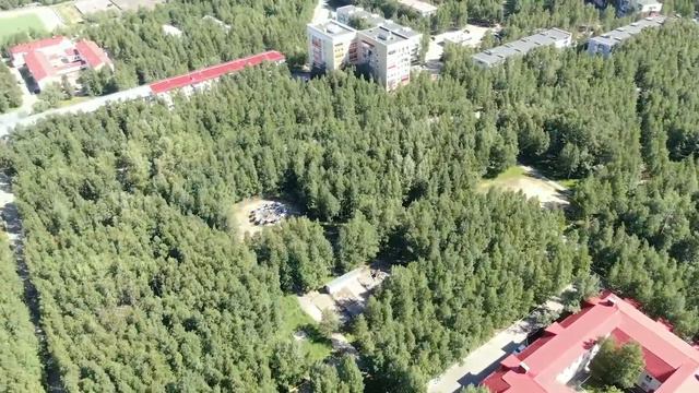 Дайджест 31.05.20 смотреть онлайн