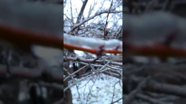 А ВЫ ТАКОЕ ВИДЕЛИ ??? !!! ОБЛЕДЕНЕНИЕ 2023 !!! ПОСТАВЬ ЛАЙК И ПОДПИШИСЬ !!! смотреть онлайн