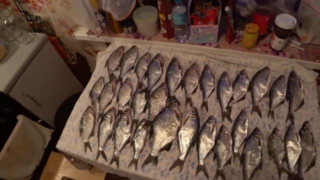 Вяление рыбы. смотреть онлайн