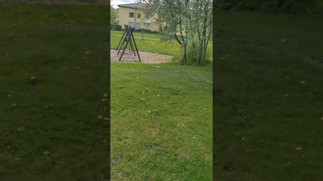 Куриный Люла КЕБАБ с сыром и шампиньоном смотреть онлайн