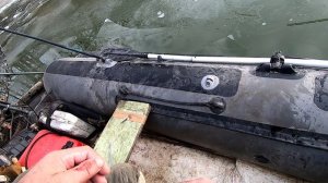 Рыбалка на Камчатке. Отменный клев красавицы- микижи.mp4