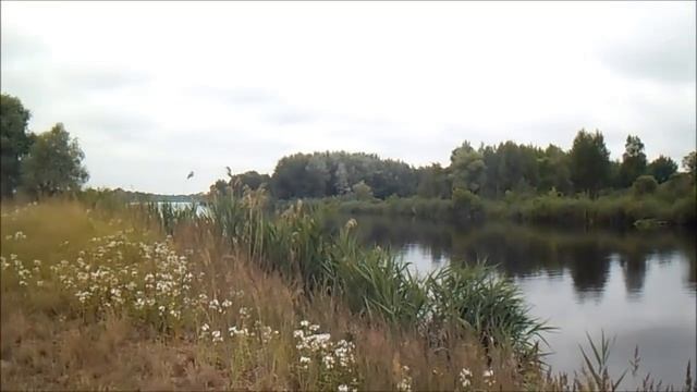 Щука на кружки(жерлицы).Трофей на 4300 и 2400.Рыбалка на реке Припять(старицы).Березцы. смотреть онлайн